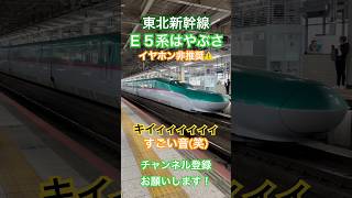 【🟢凄い音⚠️】E5系新幹線の特徴的なブレーキ音_仙台駅【BOSCH/Shinkansen】