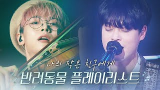 나의 반려동물에게 보내는 노래 Playlist 🐈🐕🦔… | #난장플레이리스트 | 루시 크라잉넛 안녕바다 넥스트 라쿠나 나비