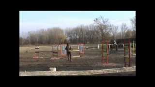 Jumping Training (Első kinti edzés) 2012.03.01 :)