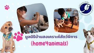 Dog\u0026Cat cafe สาขาบางเลน มูลนิธิบ้านสงเคราะห์สัตว์พิการ home4animals | ArmTum family