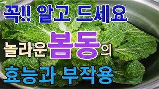 항산화에 좋은 봄동의 효능과 부작용