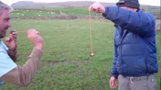 Allotment Diary October 26th : Annual 3 Peaks Yorkshire Dales World Universe Conker Championships