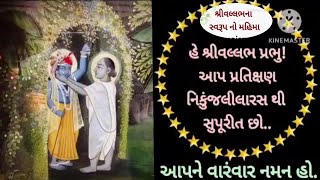 @MannAaturi #pushtimarg #satsang #sarvottam #namavali #nikunj#lila નિકુંજલીલાસુપૂરિત