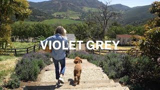 The Ranch Before 10AM | VIOLET GREY