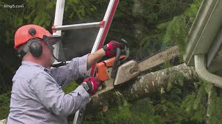 Thousands still without power after Puget Sound windstorm and restoration could take days
