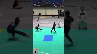 Tendangan kobra pencak silat