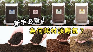 【山林蟲坊】養蟲必看：耗材的曝氣 | A Must-read for Raising Beetles: Aeration of Consumables