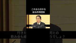 【アフレコ】分かる給与所得控除。シェフの気まぐれサラダ感覚で増税する翔太郎の父 #経済 #給与所得控除 #岸田総理 #税金 #教育 #増税 #投資 #アフレコ