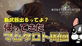 【MHW実況/PS4】帰ってきたマムタロト周回【モンハンワールド】