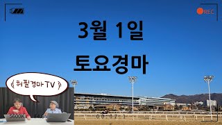 [ 2025년 3월 1일 토요경마]