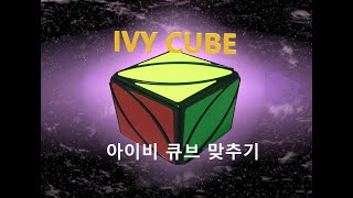 IVY CUBE 아이비큐브