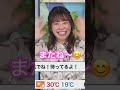 【高山奈々】奈々ちゃん産休前ラスト出演 shorts shortsvideo shortsyoutube ウェザーニュース切り抜き weathernews ウェザーニュースキャスター