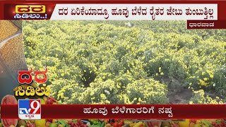 TV9 Reality Check: ದರ ಏರಿಕೆಯಾದ್ರೂ ಹೂವು ಬೆಳೆದ ಧಾರವಾಡ ರೈತರ ಜೇಬು ತುಂಬುತ್ತಿಲ್ಲ