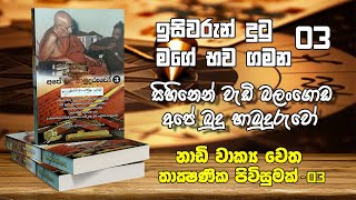 ඉසිවරුන් දුටු මගේ භව ගමන | නාඩි වාක්‍ය වෙත තාක්ෂණික පිවිසුමක් - 03