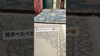 名前を覚えた子犬の全力ぺたぺたダッシュ😍【チワックス】