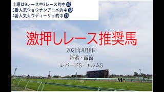 【競馬】レパードS　エルムS予想　2021年8月8日推奨レース＆推奨馬