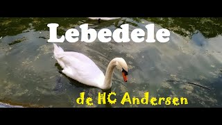 Lebedele   - de HC Andersen Poveste Audio Romana