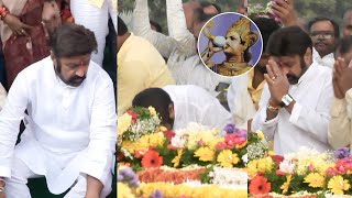 Nandamuri Balakrishna Pays Tribute to Sr.NTR At NTR Ghat | TFPC