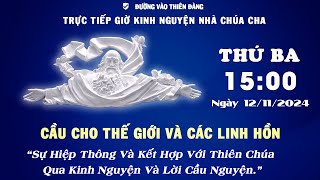 15h00 Ngày 12-11-2024 Kinh Nguyện Lòng Thương Xót Chúa - Đường Vào Thiên Đàng