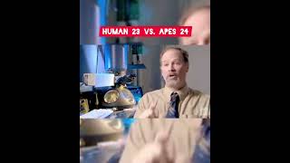 Intriguing Chromosome 2 | Human Vs. Apes | chromosome fusion
