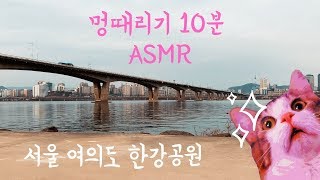 [10분 멍때리기 ASMR] 서울 여의도 한강공원 | 10 minute ASMR in Seoul Yeouido hangang park