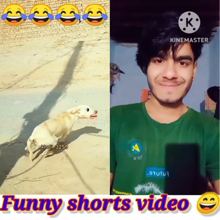 Funny Video ёяшв Funny Shorts Video Viral Youtube Video Funny Comedy