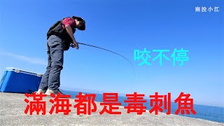 安平磯釣-在滿是毒刺魚類的海裡找尋大魚的蹤跡