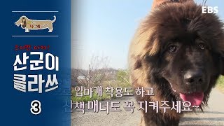 세상에 나쁜 개는 없다 - 스치면 다쳐! 산군이 클라쓰_#003