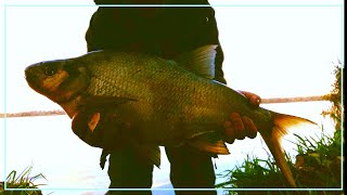 Grube leszcze jesienią na feeder? Proszę bardzo! :) Listopad 2021 #wędkarstwo #bigfish