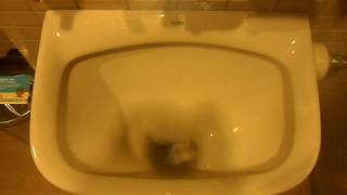 2012 VIDEO: 2003 TOTO SK35 Flushing Rim Sink (Hopper Sink)