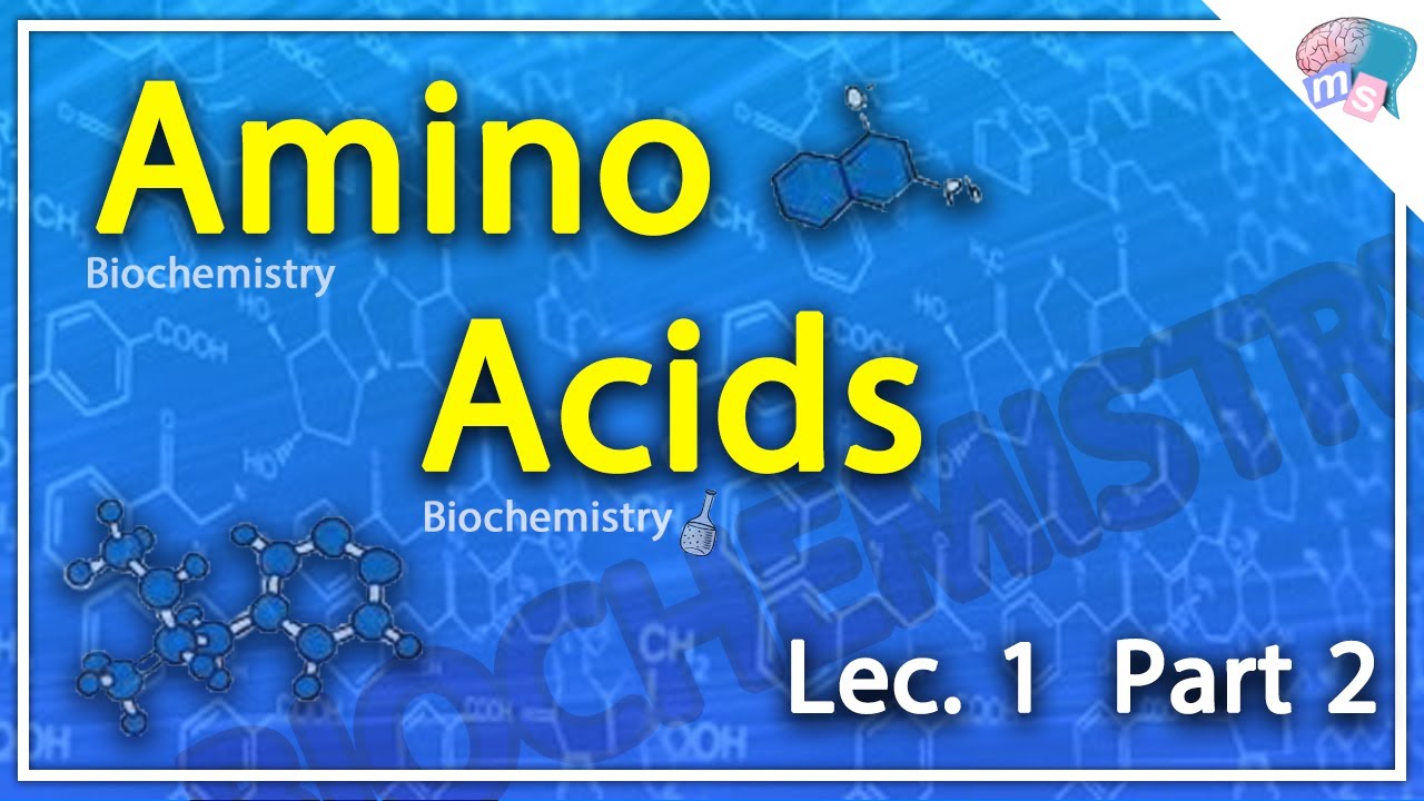 [[Biochemistry]] : (Amino Acids) Lec.1 Part2 - YouTube