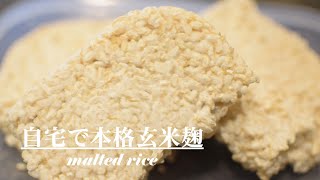 自宅で本格玄米麹の作り方 /how to make real malted rice(koji) of brown rice at home