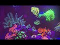 how often should you change water in a reef aquarium