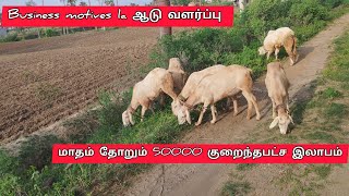 #farming மாதம் தோறும் குறைந்த பட்சம் 50000 சம்பாதிக்கனுமா இந்த பதிவை பாருங்கள்#agriculture