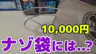 【遊戯王】秋葉原で購入した1万円の「ナゾ」袋開けたら、最後までナゾでした。