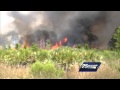 Brush fire rages out of control in Jensen Beach