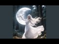 Dancing With the Moon