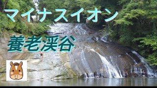 粟又の滝に行ってみた【4K】#養老渓谷#千葉県