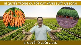 Hướng Dẫn Kỹ Thuật Cách Trồng Cây Cà Rốt Đạt Năng Suất Cao | Phân Bón Quốc Gia Xanh