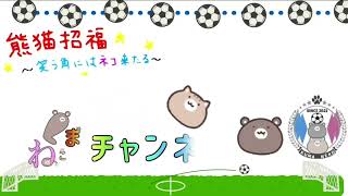 毎日サガン鳥栖🔰12月25日【2025年】現時点確定情報によるサガン鳥栖2025年版選手紹介！／CB山﨑選手が移籍