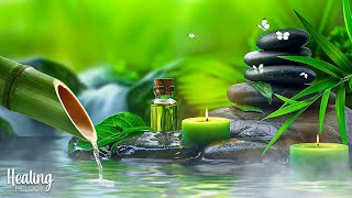 Peaceful Relaxation 🌿 Relaxing Music with Nature Sounds ~ Relieves Stress, Anxiety \u0026 Depression