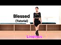 [중급설명] Blessed Line Dance (Tutorial) [Lineinus] 2026퀸연말파티곡