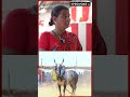 எனக்கு எல்லாமே இதுனால கிடைச்சிச்சு provoketv tamil tamilshorts jallikattu bull bulltaming