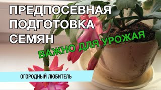 ПРЕДПОСЕВНАЯ ПОДГОТОВКА СЕМЯН // ВАЖНО ДЛЯ ХОРОШЕГО УРОЖАЯ