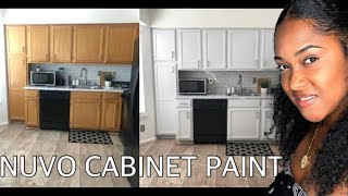 NUVO Cabinet Paint DIY