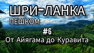 6. ШРИ-ЛАНКА. Пешком от Айагама до Куравита. Продвигаемся к Пику Адама.