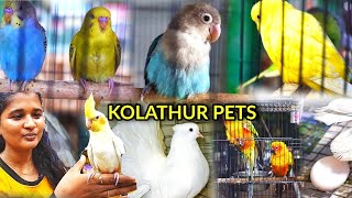 Kolathur Pet Market