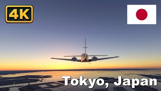 Tokyo, Japan | Microsoft Flight Simulator 2024 (4K Ultra HD)