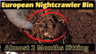 European Nightcrawlers (ENC) - Almost 2 Months 12/06/2022