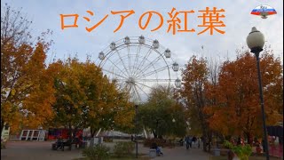 10月のロシア紅葉・ボロネジ市2020